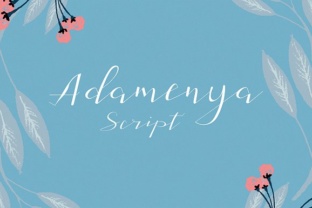 Adamenya Font for Creative Projects