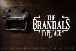 Elevate Your Brand with The Brandals Retro Serif Typeface