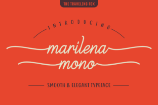 Marilena Mono Font for Elegant Design