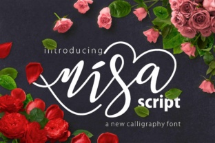 Nisa Font for Business Branding