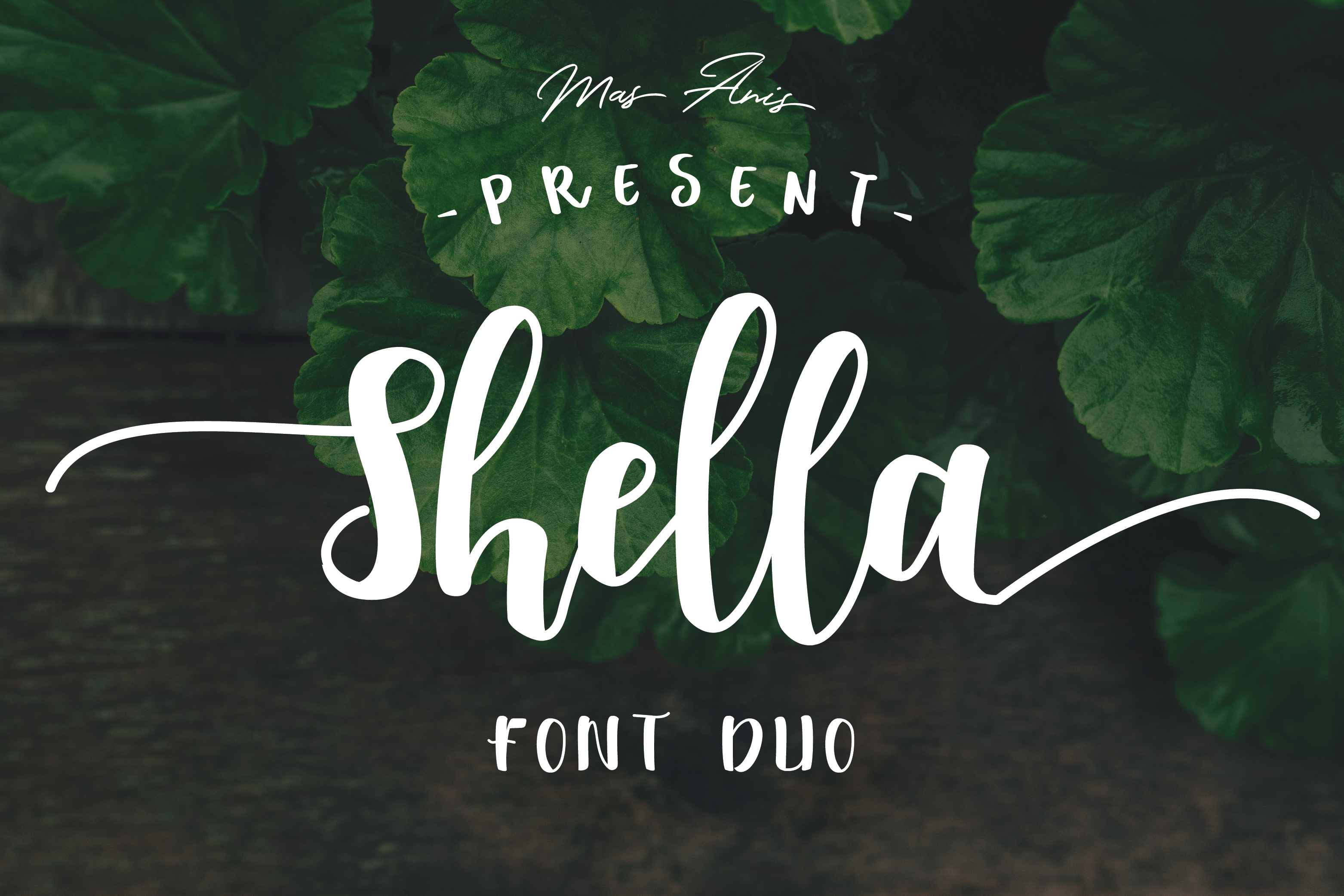 Shella Font: Handwritten Elegance