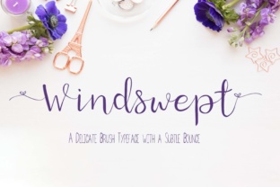 Windswept Font for Professional Branding